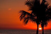 1075-2 Tree Sunset