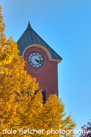 7429 Fall Clock Tower