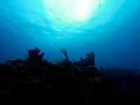 111743 The Depths