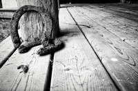 3119 Horseshoe-BW