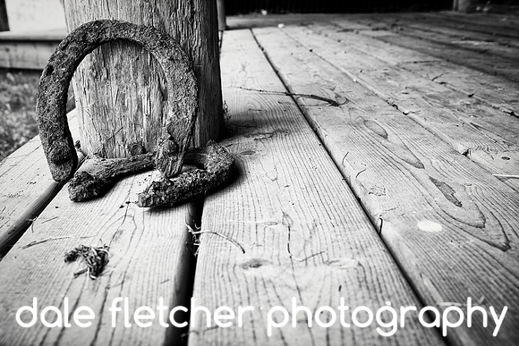 3119 Horseshoe-BW