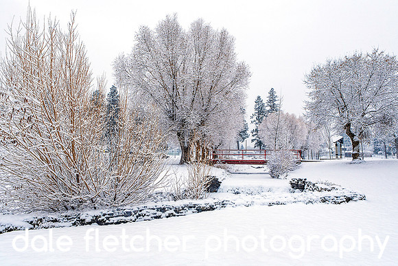 0215 Winter Park Bridge
