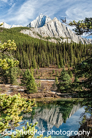 0228 Johnston Canyon