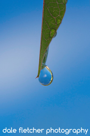 3423 Waterdrop