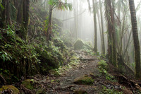 1351 Misty Path