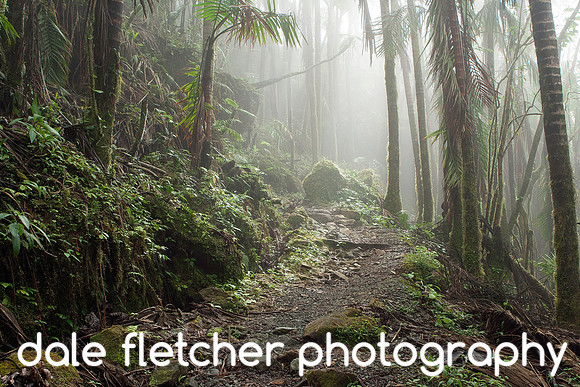 1351 Misty Path