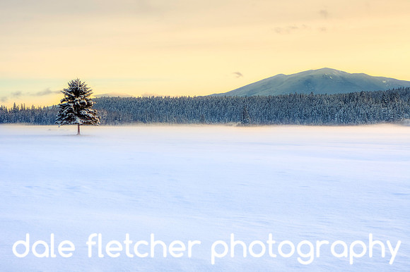 2734 Lone Tree winter