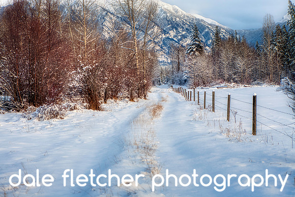 2728 Country Road winter