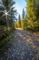 0662 Fall Path