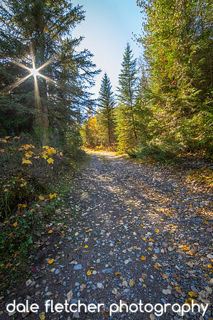 0662 Fall Path