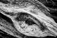 2572 Wooden Eye-BW