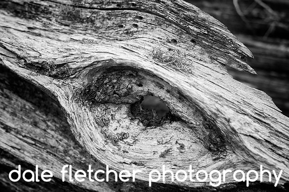 2572 Wooden Eye-BW