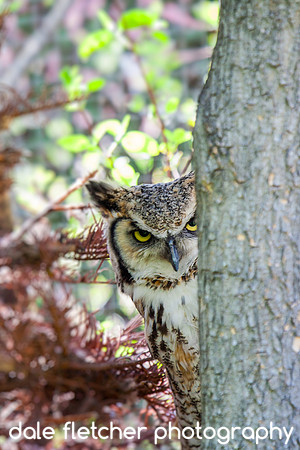 8546 I'm Watching You