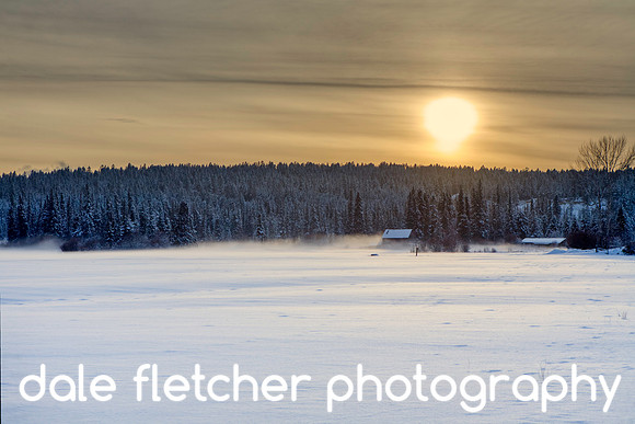 2737 Misty Sunset winter