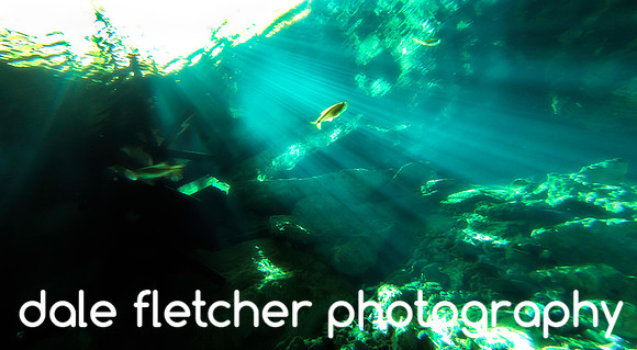 72556 Light Rays