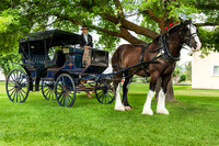 4428 Horse Carriage