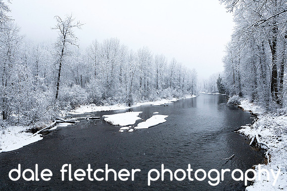 0257 Winter River at Yahk