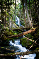 6321 Forest Stream
