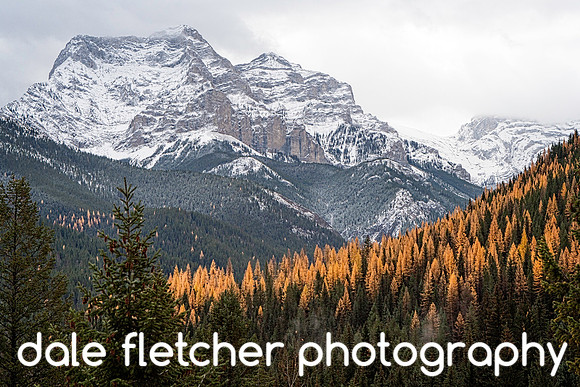 6577 Fall Mountainscape