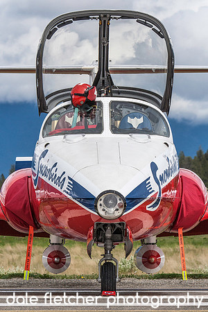 8121 Snowbird