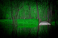 0495 Green Walkway