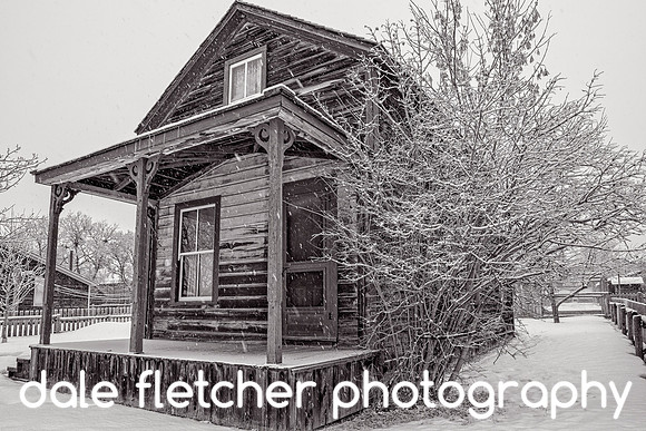 1233 Snowy House