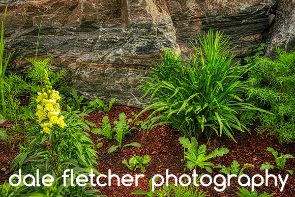 2862 Rock Garden