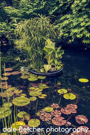 2944 Split Tone Pond