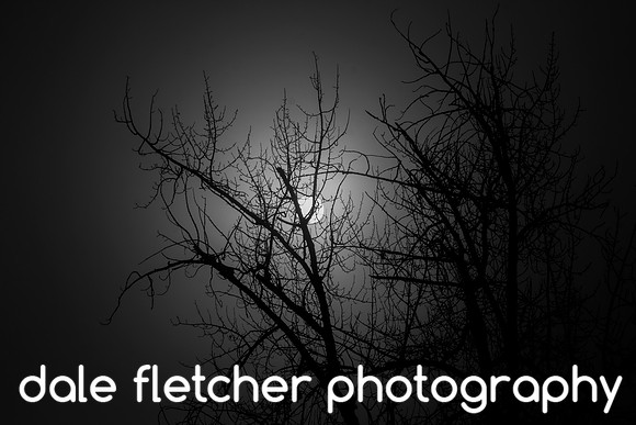 4437 Backlit