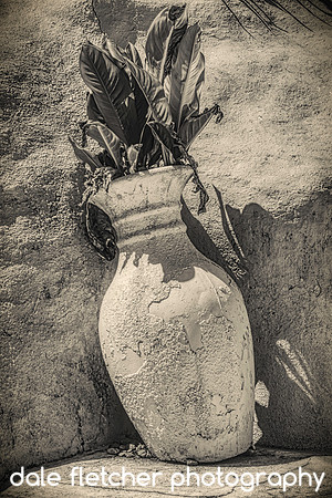 6960 Broken Vase BW