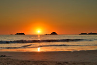 7905 Sunset