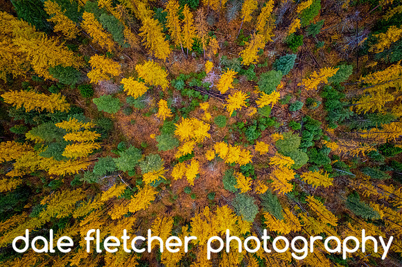 DJI0042 Green Yellow