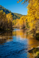6545 Fall Stream