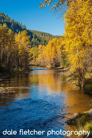 6545 Fall Stream