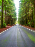 0008 Fantasy Road