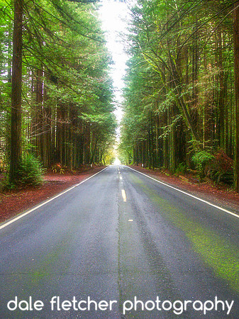 0008 Fantasy Road