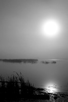 3156 Liz at Night-BW