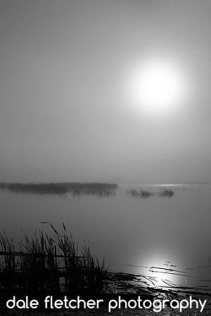 3156 Liz at Night-BW