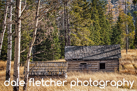 6640 Abandoned Cabin