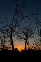 8576 Final Light