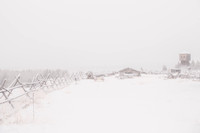 1255 Whiteout