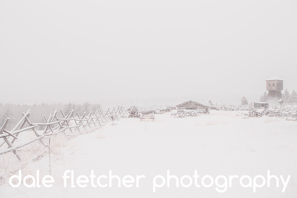 1255 Whiteout