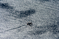 6157 Sailboat