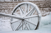 4433 Frozen Wheel