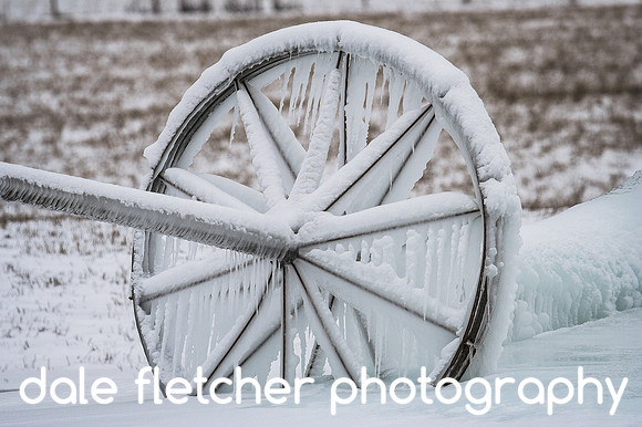 4433 Frozen Wheel