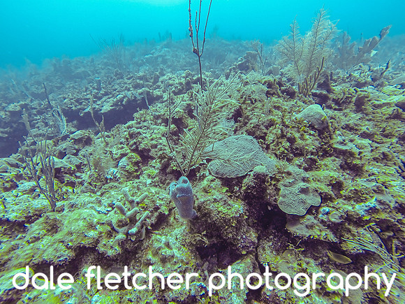 30255 Underwater