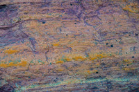 4478 Colours In Stone