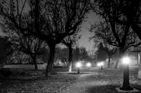 7554 Rotary Park