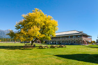 Fall