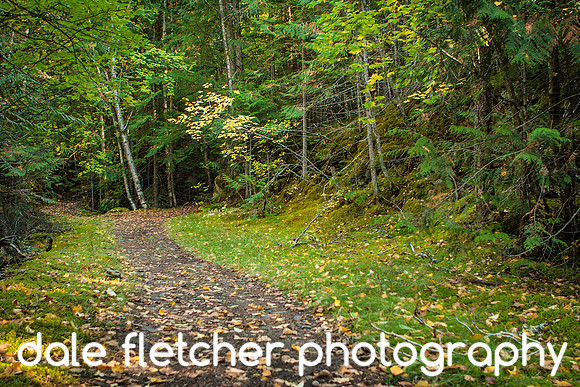 6500 Forest Path